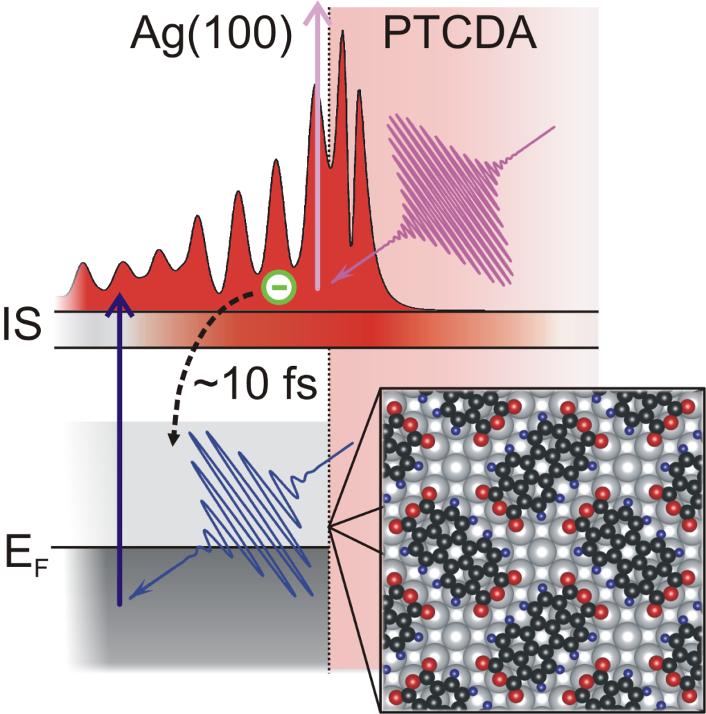 Formation of an organic/metal interface state from a Shockley resonance ...